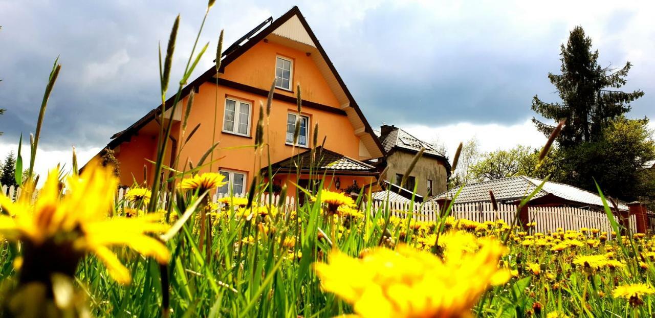 Dom Goscinny Orange Wysowa-Zdrój Exterior foto